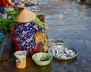 Selling fish at rural market in Southern Vietnam