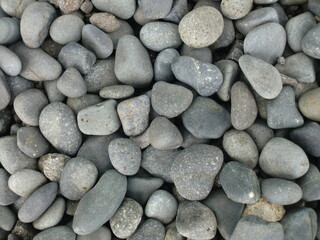 たくさんの玉砂利