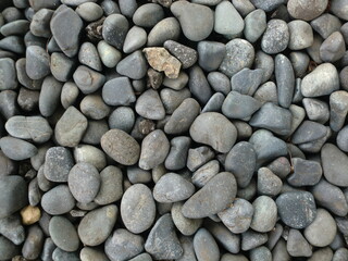 たくさんの玉砂利