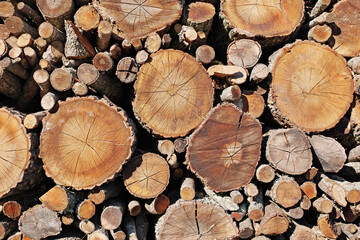 Fototapeta premium stacked timber of various sizes