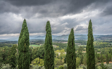 typical tuscan landscape with cypress trees and hills in Chianti region of tuscany, Italy