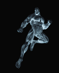 Naklejka premium bodybuilder muscle maps is landing in action in white background