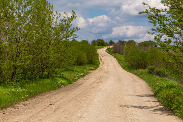 Fototapeta na wymiar A gravel road among forest. Republic of Moldova.