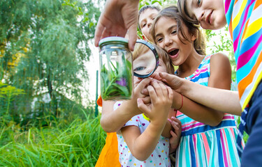 Children look at a magnifying glass on the nature. Selective focus.