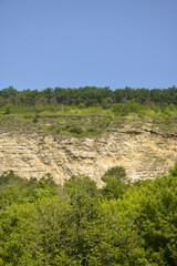 Cliff of ancient calcareous rocks, overgrown with forest, against blue sky. Sedimentary Cretaceous rocks of seabed. Vertical photo. Copy space. Selective focus.