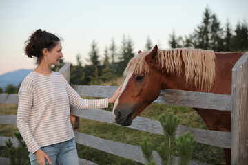Woman stroking beautiful horse near wooden fence outdoors. Lovely domesticated pet