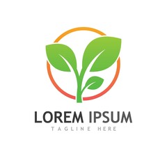 leaf logo and vector images