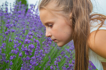Fototapeta premium girl in a field of flowers