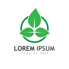 leaf logo and vector images