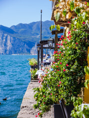 Fototapeta na wymiar Flowers on Lake Garda and mountains