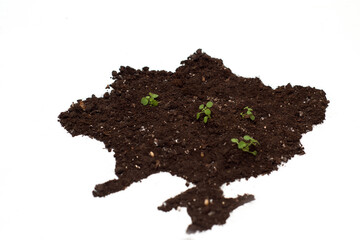 Sale of land in Ukraine, harvest, sowing