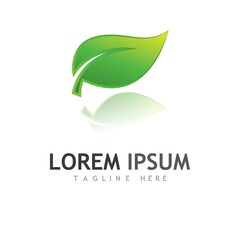 leaf logo and vector images