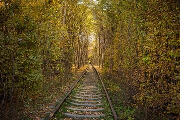 Fototapeta na wymiar Autumn railway. Traveling by train. The rails go into the distance. Sleepers and rails. Parallel lines in perspective. Walk along the railway track. Tourism in Europe. Fresh air. Colorful leaf fall.