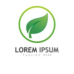 leaf logo and vector images