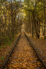 Fototapeta na wymiar Autumn railway. Traveling by train. The rails go into the distance. Sleepers and rails. Parallel lines in perspective. Walk along the railway track. Tourism in Europe. Fresh air. Colorful leaf fall.