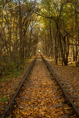 Autumn railway. Traveling by train. The rails go into the distance. Sleepers and rails. Parallel lines in perspective. Walk along the railway track. Tourism in Europe. Fresh air. Colorful leaf fall.