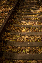 Autumn background. Warm colors. Fallen dry leaves on the sleepers. Cozy background. Dead foliage. Colorful landscape. Beauty of nature. Colored leaves on the railroad. Wooden sleepers.