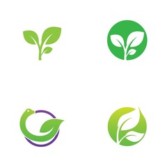 leaf logo and vector images