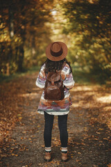 Stylish woman with backpack in hat walking in sunny autumn woods. Young female traveler hiking in beautiful fall forest. Travel and wanderlust concept, space for text. Back view
