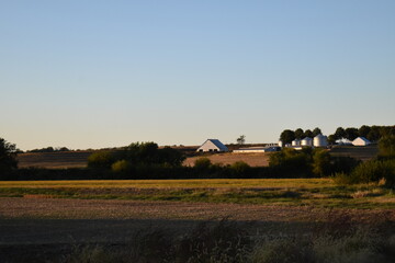 Fototapeta na wymiar Farm Field