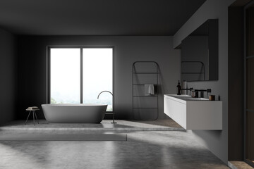 Naklejka na ściany i meble Dark bathroom interior with bathtub near window, sink and ladder