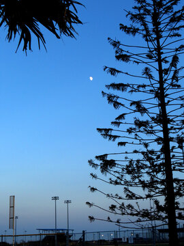 sport park brownsville