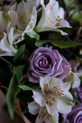 a bouquet of lilac roses, alstroemeria and dark hydrangea. a luxurious bouquet of noir