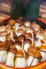 Close-up of small eryngii mushrooms for a hot pot