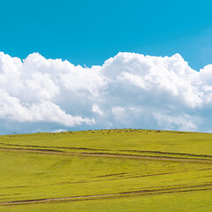 Obraz premium Green hill with dirt roads and fluffy clouds over it. Animals grazing on the top of the hill.