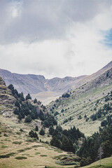 Obraz premium Naturaleza con arboles montañas cielo colores 