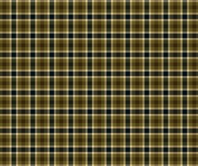 Modern classic tartan plaid pattern for fabric printing. Flannel textile print for scarf, blanket, throw pillow, dress, jacket, coat, and other modern autumn-winter costume fabric design.