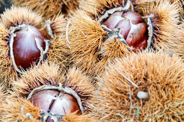 Tempo di castagne