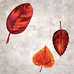 Fototapeta premium stylish textured old paper background with autumnal leaves in color ink