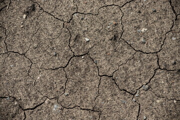 Dry, cracked dirt texture for creative background