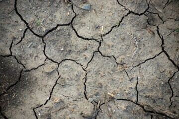 Dry, cracked dirt texture for creative background