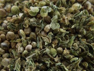 Marijuana seeds and their cases / casings from a studio shoot.