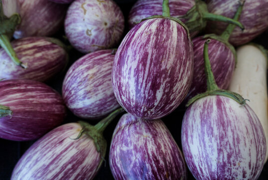Eye-catching display of fresh purple and white graffiti eggplant at a California farmers market.