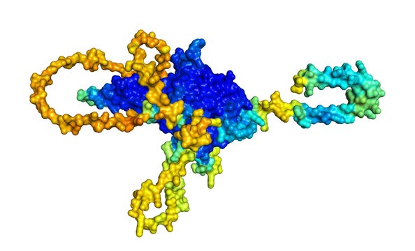 3D rendering of Ubiquitin carboxyl-terminal hydrolase 30 as predicted by alphafold and colored according to confidence in the model. 