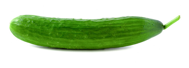 Isolated cucumber, long tasty and healthy vegetable on a white background.