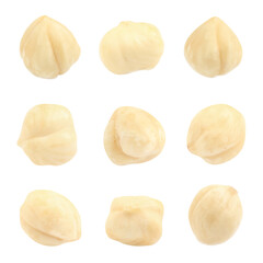Set with tasty hazelnuts on white background
