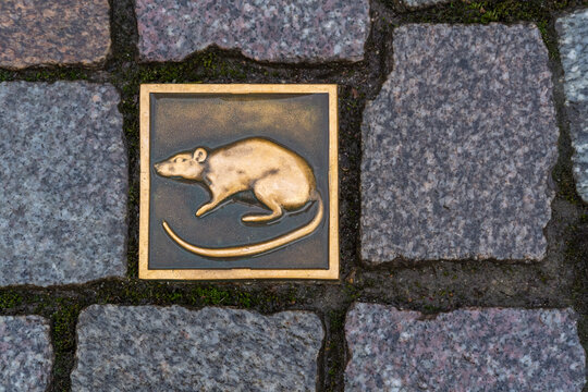 Metal Rat tile among paving stones on the streets of Hamelin - reference to the pied pipers tale - Hamelin, Lower Saxony, Germany