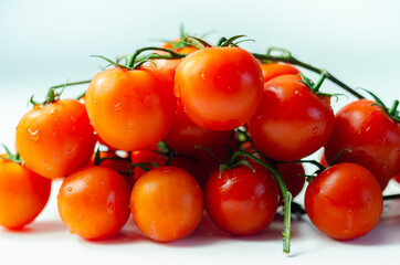 Covered with drops of water, fresh tomatoes with sprigs on white background