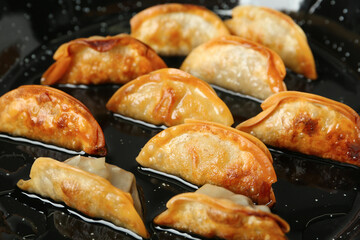 Cooking gyoza on frying pan with hot oil, closeup