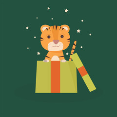Cute little cartoon tiger in a Christmas gift box. Happy Chinese New Year 2022 festive design Flat vector illustration on a green background
