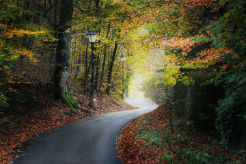 Naklejka premium Monchsberg trail with autumn vegetation - Salzburg, Austria