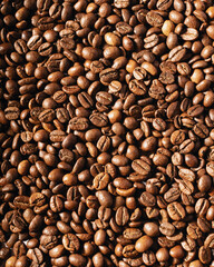 coffee beans background with shadow
