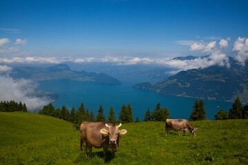 Emmetten am Vierwaldstättersee