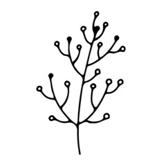 Obraz premium Simple plant decoration in doodle style. Simple decor for a festive Christmas and New Years. Vector illustration isolated on white background.