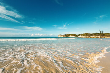 Wild caribbean beach of Atlantic ocean