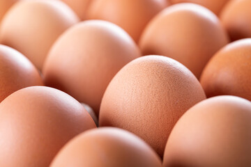 Fresh eggs in box, closeup